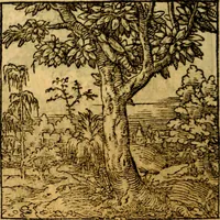 Picture 118 of 179 from Ori Apollonis Niliaci, de sacris notis & sculpturis libri duo, vbi ad fidem vetudti codicis manu scripti restituta sunt loca permulta, corrupta ante ac deplorata (1551), leaf 179