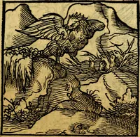 An illustration from Ori Apollonis Niliaci, de sacris notis & sculpturis libri duo, vbi ad fidem vetudti codicis manu scripti restituta sunt loca permulta, corrupta ante ac deplorata (1551)