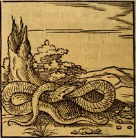 An illustration from Ori Apollonis Niliaci, de sacris notis & sculpturis libri duo, vbi ad fidem vetudti codicis manu scripti restituta sunt loca permulta, corrupta ante ac deplorata (1551)