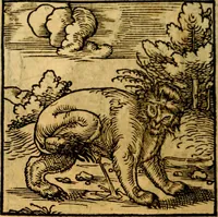 An illustration from Ori Apollonis Niliaci, de sacris notis & sculpturis libri duo, vbi ad fidem vetudti codicis manu scripti restituta sunt loca permulta, corrupta ante ac deplorata (1551)