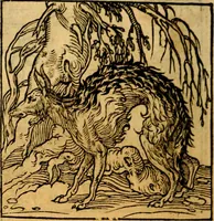 An illustration from Ori Apollonis Niliaci, de sacris notis & sculpturis libri duo, vbi ad fidem vetudti codicis manu scripti restituta sunt loca permulta, corrupta ante ac deplorata (1551)