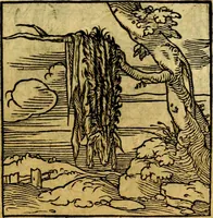 An illustration from Ori Apollonis Niliaci, de sacris notis & sculpturis libri duo, vbi ad fidem vetudti codicis manu scripti restituta sunt loca permulta, corrupta ante ac deplorata (1551)