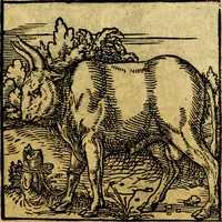 Picture 135 of 179 from Ori Apollonis Niliaci, de sacris notis & sculpturis libri duo, vbi ad fidem vetudti codicis manu scripti restituta sunt loca permulta, corrupta ante ac deplorata (1551), leaf 202
