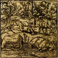 Picture 136 of 179 from Ori Apollonis Niliaci, de sacris notis & sculpturis libri duo, vbi ad fidem vetudti codicis manu scripti restituta sunt loca permulta, corrupta ante ac deplorata (1551), leaf 203