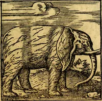 An illustration from Ori Apollonis Niliaci, de sacris notis & sculpturis libri duo, vbi ad fidem vetudti codicis manu scripti restituta sunt loca permulta, corrupta ante ac deplorata (1551)