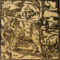 An illustration from Ori Apollonis Niliaci, de sacris notis & sculpturis libri duo, vbi ad fidem vetudti codicis manu scripti restituta sunt loca permulta, corrupta ante ac deplorata (1551)