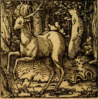 Picture 143 of 179 from Ori Apollonis Niliaci, de sacris notis & sculpturis libri duo, vbi ad fidem vetudti codicis manu scripti restituta sunt loca permulta, corrupta ante ac deplorata (1551), leaf 211