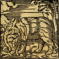 An illustration from Ori Apollonis Niliaci, de sacris notis & sculpturis libri duo, vbi ad fidem vetudti codicis manu scripti restituta sunt loca permulta, corrupta ante ac deplorata (1551)