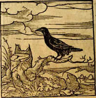 An illustration from Ori Apollonis Niliaci, de sacris notis & sculpturis libri duo, vbi ad fidem vetudti codicis manu scripti restituta sunt loca permulta, corrupta ante ac deplorata (1551)