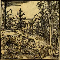 An illustration from Ori Apollonis Niliaci, de sacris notis & sculpturis libri duo, vbi ad fidem vetudti codicis manu scripti restituta sunt loca permulta, corrupta ante ac deplorata (1551)