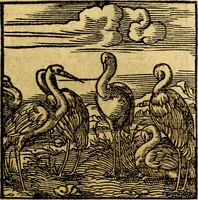 Picture 150 of 179 from Ori Apollonis Niliaci, de sacris notis & sculpturis libri duo, vbi ad fidem vetudti codicis manu scripti restituta sunt loca permulta, corrupta ante ac deplorata (1551), leaf 218