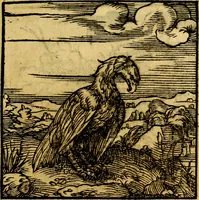 Picture 152 of 179 from Ori Apollonis Niliaci, de sacris notis & sculpturis libri duo, vbi ad fidem vetudti codicis manu scripti restituta sunt loca permulta, corrupta ante ac deplorata (1551), leaf 220