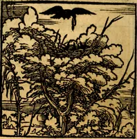 An illustration from Ori Apollonis Niliaci, de sacris notis & sculpturis libri duo, vbi ad fidem vetudti codicis manu scripti restituta sunt loca permulta, corrupta ante ac deplorata (1551)