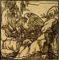 Picture 155 of 179 from Ori Apollonis Niliaci, de sacris notis & sculpturis libri duo, vbi ad fidem vetudti codicis manu scripti restituta sunt loca permulta, corrupta ante ac deplorata (1551), leaf 223