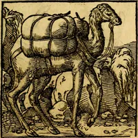 An illustration from Ori Apollonis Niliaci, de sacris notis & sculpturis libri duo, vbi ad fidem vetudti codicis manu scripti restituta sunt loca permulta, corrupta ante ac deplorata (1551)