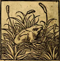Picture 157 of 179 from Ori Apollonis Niliaci, de sacris notis & sculpturis libri duo, vbi ad fidem vetudti codicis manu scripti restituta sunt loca permulta, corrupta ante ac deplorata (1551), leaf 225