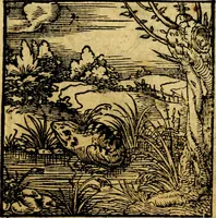 Picture 158 of 179 from Ori Apollonis Niliaci, de sacris notis & sculpturis libri duo, vbi ad fidem vetudti codicis manu scripti restituta sunt loca permulta, corrupta ante ac deplorata (1551), leaf 226