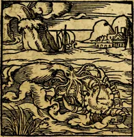 An illustration from Ori Apollonis Niliaci, de sacris notis & sculpturis libri duo, vbi ad fidem vetudti codicis manu scripti restituta sunt loca permulta, corrupta ante ac deplorata (1551)