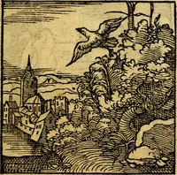 An illustration from Ori Apollonis Niliaci, de sacris notis & sculpturis libri duo, vbi ad fidem vetudti codicis manu scripti restituta sunt loca permulta, corrupta ante ac deplorata (1551)