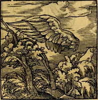 Picture 171 of 179 from Ori Apollonis Niliaci, de sacris notis & sculpturis libri duo, vbi ad fidem vetudti codicis manu scripti restituta sunt loca permulta, corrupta ante ac deplorata (1551), leaf 242