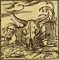 An illustration from Ori Apollonis Niliaci, de sacris notis & sculpturis libri duo, vbi ad fidem vetudti codicis manu scripti restituta sunt loca permulta, corrupta ante ac deplorata (1551)
