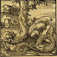 Picture 4 of 179 from Ori Apollonis Niliaci, de sacris notis & sculpturis libri duo, vbi ad fidem vetudti codicis manu scripti restituta sunt loca permulta, corrupta ante ac deplorata (1551), leaf 30