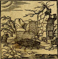 An illustration from Ori Apollonis Niliaci, de sacris notis & sculpturis libri duo, vbi ad fidem vetudti codicis manu scripti restituta sunt loca permulta, corrupta ante ac deplorata (1551)