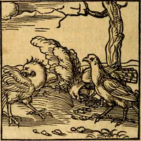 An illustration from Ori Apollonis Niliaci, de sacris notis & sculpturis libri duo, vbi ad fidem vetudti codicis manu scripti restituta sunt loca permulta, corrupta ante ac deplorata (1551)