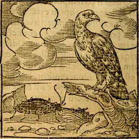 An illustration from Ori Apollonis Niliaci, de sacris notis & sculpturis libri duo, vbi ad fidem vetudti codicis manu scripti restituta sunt loca permulta, corrupta ante ac deplorata (1551)