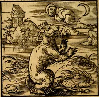 Picture 16 of 179 from Ori Apollonis Niliaci, de sacris notis & sculpturis libri duo, vbi ad fidem vetudti codicis manu scripti restituta sunt loca permulta, corrupta ante ac deplorata (1551), leaf 57