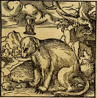 Picture 17 of 179 from Ori Apollonis Niliaci, de sacris notis & sculpturis libri duo, vbi ad fidem vetudti codicis manu scripti restituta sunt loca permulta, corrupta ante ac deplorata (1551), leaf 58