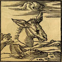 An illustration from Ori Apollonis Niliaci, de sacris notis & sculpturis libri duo, vbi ad fidem vetudti codicis manu scripti restituta sunt loca permulta, corrupta ante ac deplorata (1551)