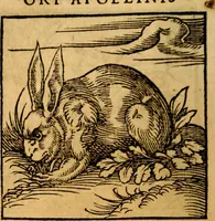An illustration from Ori Apollonis Niliaci, de sacris notis & sculpturis libri duo, vbi ad fidem vetudti codicis manu scripti restituta sunt loca permulta, corrupta ante ac deplorata (1551)