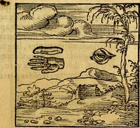 An illustration from Ori Apollonis Niliaci, de sacris notis & sculpturis libri duo, vbi ad fidem vetudti codicis manu scripti restituta sunt loca permulta, corrupta ante ac deplorata (1551)