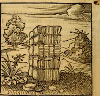 Picture 31 of 179 from Ori Apollonis Niliaci, de sacris notis & sculpturis libri duo, vbi ad fidem vetudti codicis manu scripti restituta sunt loca permulta, corrupta ante ac deplorata (1551), leaf 75