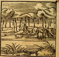 Picture 38 of 179 from Ori Apollonis Niliaci, de sacris notis & sculpturis libri duo, vbi ad fidem vetudti codicis manu scripti restituta sunt loca permulta, corrupta ante ac deplorata (1551), leaf 83