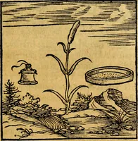 Picture 39 of 179 from Ori Apollonis Niliaci, de sacris notis & sculpturis libri duo, vbi ad fidem vetudti codicis manu scripti restituta sunt loca permulta, corrupta ante ac deplorata (1551), leaf 84