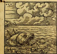 An illustration from Ori Apollonis Niliaci, de sacris notis & sculpturis libri duo, vbi ad fidem vetudti codicis manu scripti restituta sunt loca permulta, corrupta ante ac deplorata (1551)