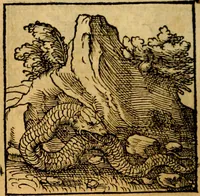 An illustration from Ori Apollonis Niliaci, de sacris notis & sculpturis libri duo, vbi ad fidem vetudti codicis manu scripti restituta sunt loca permulta, corrupta ante ac deplorata (1551)