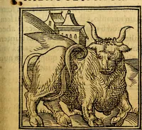 An illustration from Ori Apollonis Niliaci, de sacris notis & sculpturis libri duo, vbi ad fidem vetudti codicis manu scripti restituta sunt loca permulta, corrupta ante ac deplorata (1551)