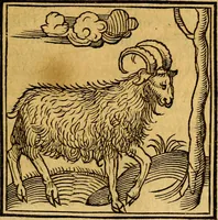 An illustration from Ori Apollonis Niliaci, de sacris notis & sculpturis libri duo, vbi ad fidem vetudti codicis manu scripti restituta sunt loca permulta, corrupta ante ac deplorata (1551)