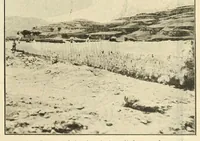 An illustration from The Oriental motor (1919)