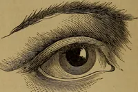 An illustration from An original and illustrated physiological and physiognomical chart (1873)