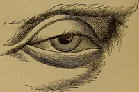 Picture 81 of 171 from An original and illustrated physiological and physiognomical chart (1873), leaf 107