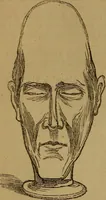 An illustration from An original and illustrated physiological and physiognomical chart (1873)