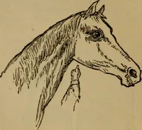 Picture 132 of 171 from An original and illustrated physiological and physiognomical chart (1873), leaf 172