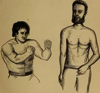 An illustration from An original and illustrated physiological and physiognomical chart (1873)