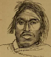 An illustration from An original and illustrated physiological and physiognomical chart (1873)