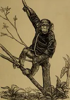 An illustration from An original and illustrated physiological and physiognomical chart (1873)