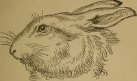 An illustration from An original and illustrated physiological and physiognomical chart (1873)